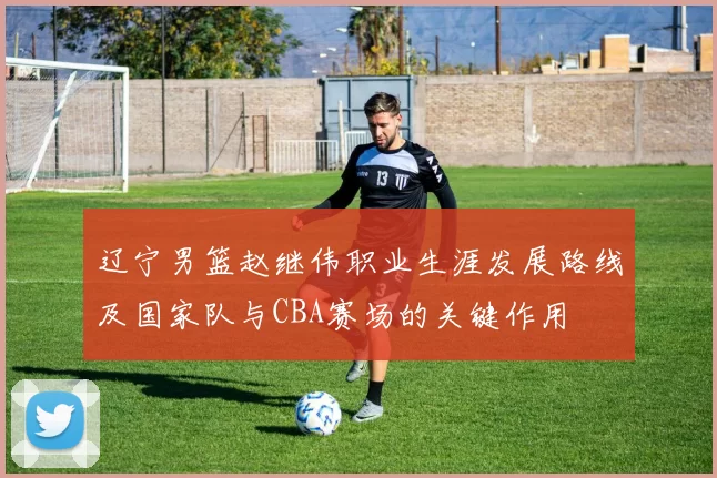 辽宁男篮赵继伟职业生涯发展路线及国家队与CBA赛场的关键作用