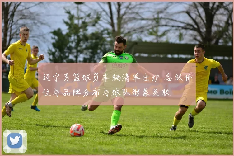 辽宁男篮球员车辆清单出炉 各级价位与品牌分布与球队形象关联