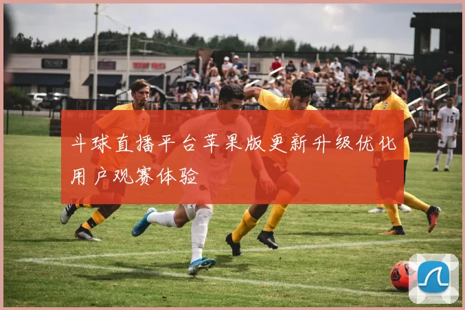 斗球直播平台苹果版更新升级优化用户观赛体验
