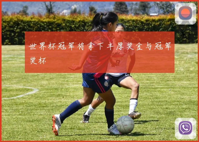 世界杯冠军将拿下丰厚奖金与冠军奖杯