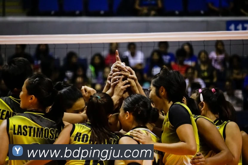 k1电子平台(中国)官方网站APP 封面图